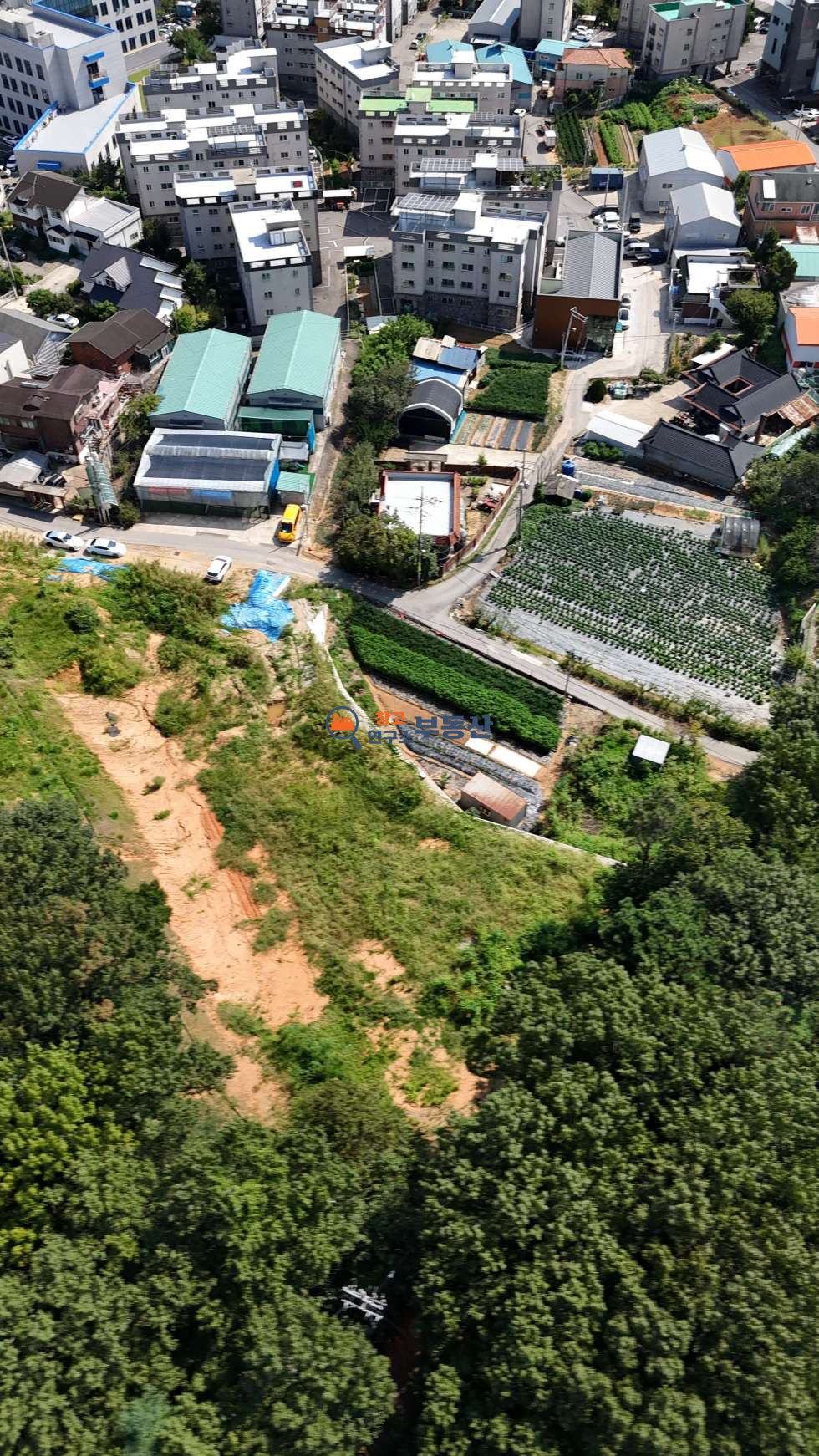 경기 고양일산서구 덕이동 #1319평 #보전관리 #덕이역인근 #체육시설,근생추천 매매 매물번호 14638 사진 3