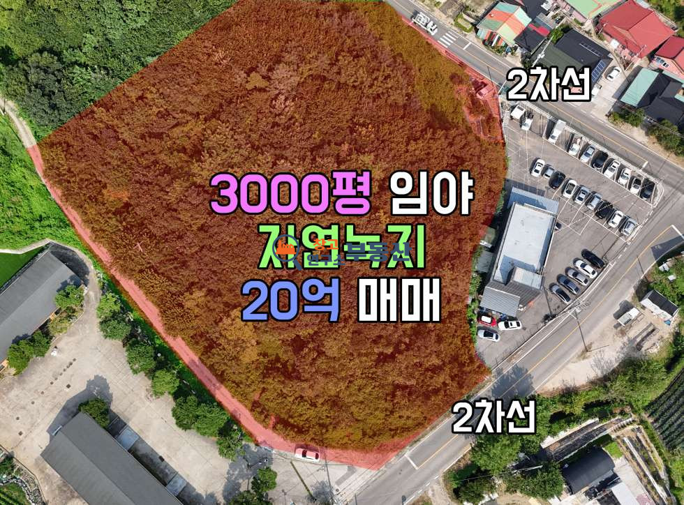 경기 파주시 문산읍 선유리 #3000평#2차선#개발추천#자연녹지 매매 매물번호 14597 사진 1