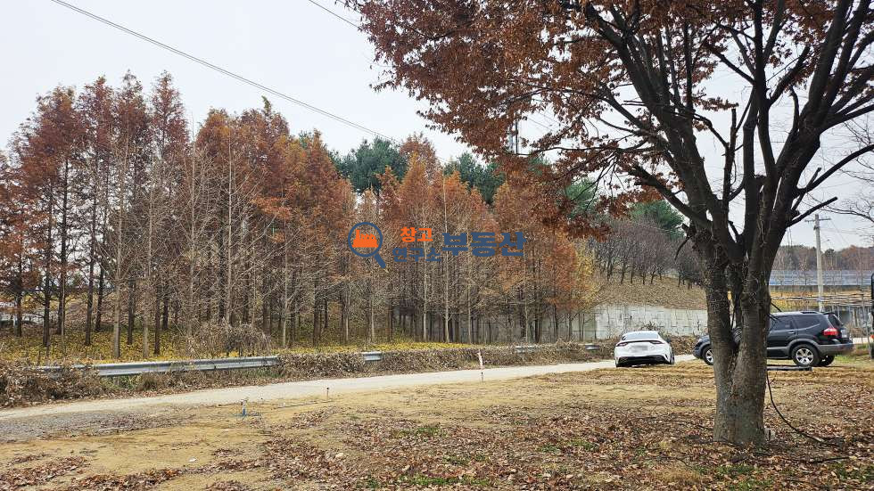 경기 고양덕양구 신원동 #560평#대+전#진입로확장#음식점#골프장인근#통일로 IC 2분#2차선로연접 매매 매물번호 14939 사진 3