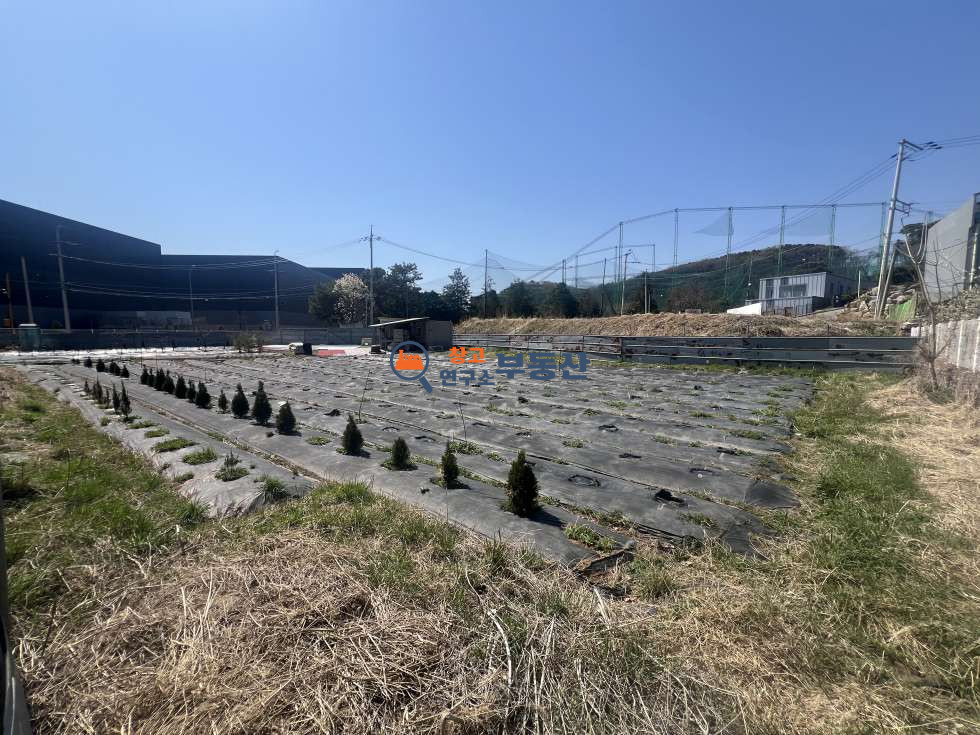 경기 파주시 탄현면 법흥리 #토지400평 #계획관리지역 #근생 건축 추천 #투자가치 #개발용이 #양면도로 코너 자리 #헤이리마을 1분 #CJ스튜디오 옆 매매 매물번호 17334 사진 1