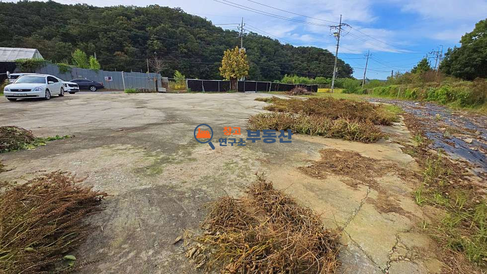 경기 파주시 문산읍 내포리 #370평#야적장#콘크리트 포장완료 #즉시입주 #2차선접#40ft진입가능 월세 매물번호 16506 사진 4