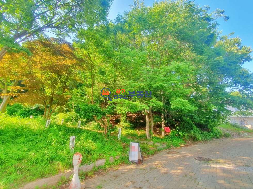 경기 파주시 탄현면 법흥리 #매매490평#대지#헤이리예술마을#개발진흥지구#상업용지 매매 매물번호 15815 사진 6
