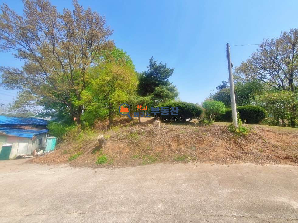 경기 고양일산동구 설문동 #995평#임야#개발부지#계획관리&산업존#설문IC8분#일산토지매매# 매매 매물번호 15486 사진 4