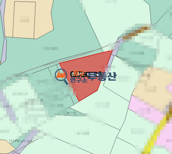 경기 파주시 광탄면 분수리 저렴한 공장건축용 부지(임야) 매매 매물번호 11315 사진 4