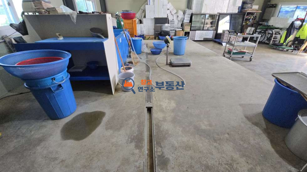 경기 고양일산서구 덕이동 #32평 #2종근생 #즉시입주 #트렌치 #지하수 #도심가 #특대형마당 월세 매물번호 15529 사진 6