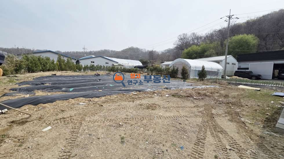 경기 고양덕양구 강매동 #토지125평 #건60평 #접근성굿 #그린벨트 이축권 건물 #옆필지 추가매수가능 #오폐수직관 매매 매물번호 17330 사진 3
