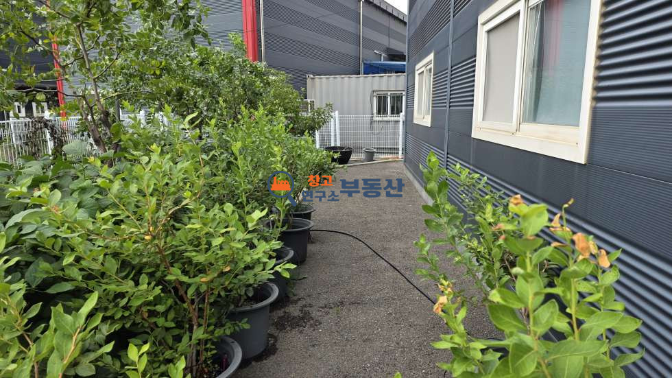 경기 파주시 탄현면 갈현리 #토지608평 #연120평 #공장 #직관연결 #가설천막150평 #평당499만 매매 매물번호 18359 사진 9