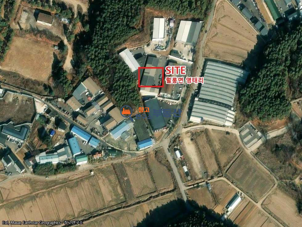 경기 파주시 월롱면 영태리 #173평 #공장 #넓은마당 #민원무 #높은층고 #40FT #즉시입주 월세 매물번호 18027 사진 3