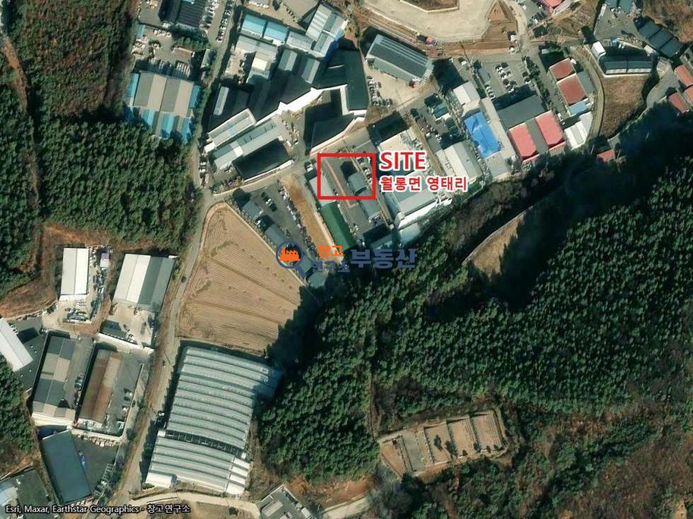 경기 파주시 월롱면 영태리 #97평 #2종근생 #38평+60평 #단독마당 #40FT #신축 #즉시입주 #높은층고 월세 매물번호 18029 사진 3