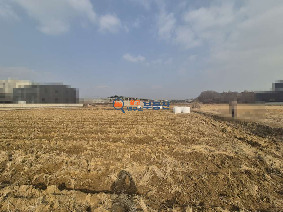 경기 파주시 조리읍 능안리 #4026평#계획관리#사업부지#스튜디오#물류창고#택배터미널 매매 매물번호 14159 사진 3