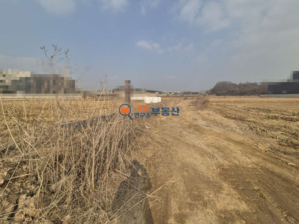 경기 파주시 조리읍 능안리 #4026평#계획관리#사업부지#스튜디오#물류창고#택배터미널 매매 매물번호 14159 사진 5