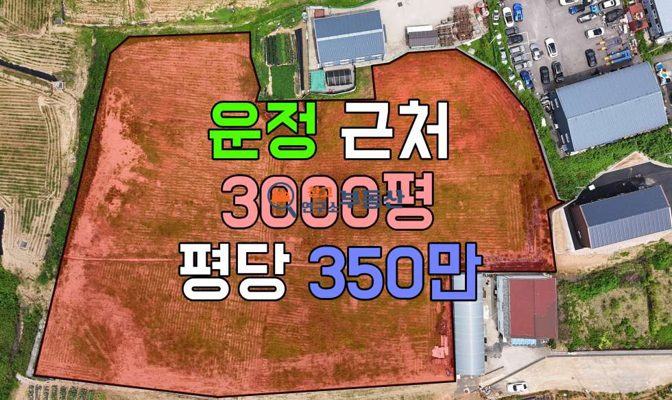 경기 파주시 상지석동 #300~2600평#공장용지#분할매각#통매가능 매매 매물번호 14160 사진 2